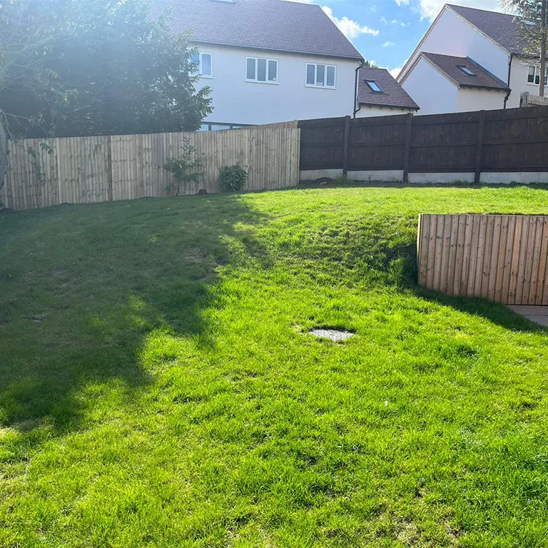Green Grass